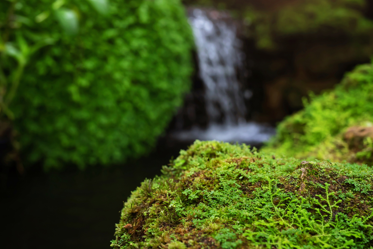 Image of a river 