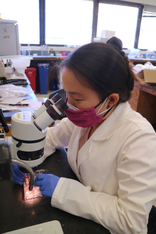 Abby Ryckman in Lab