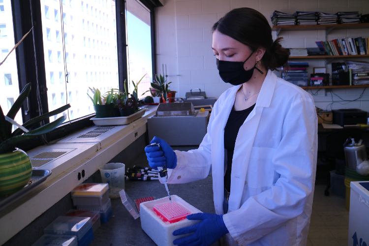 Lena Kogan in Lab