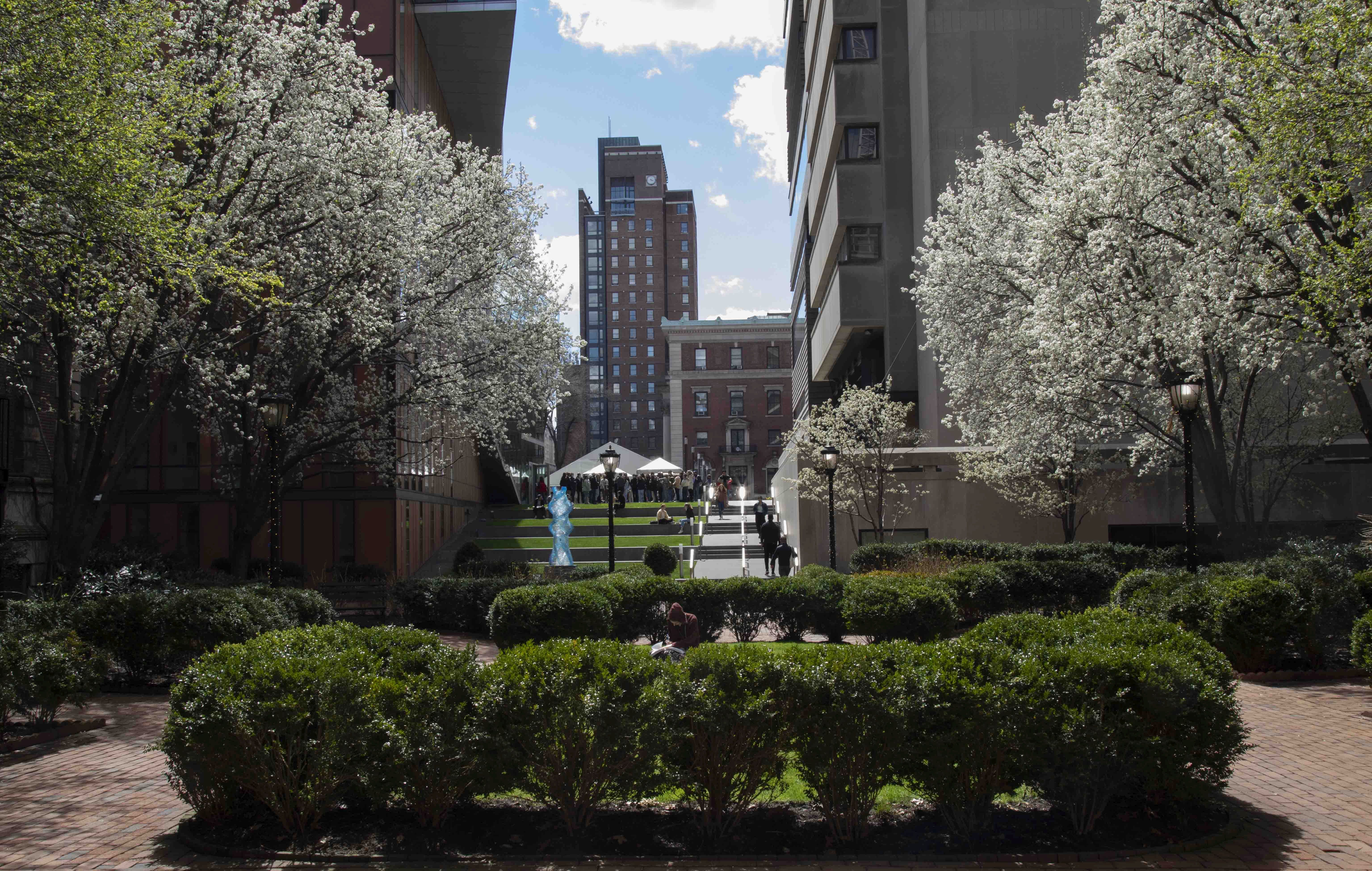 View from entrance of Milbank in the spring