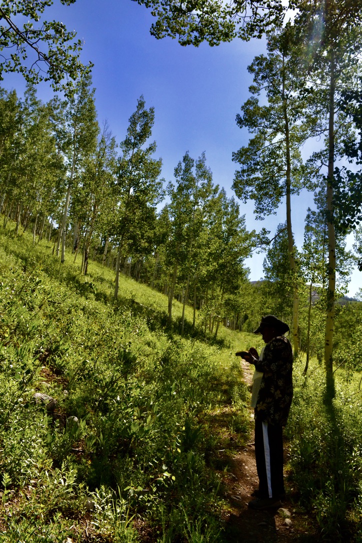 Asstan Cisse using satellite GPS software in the field