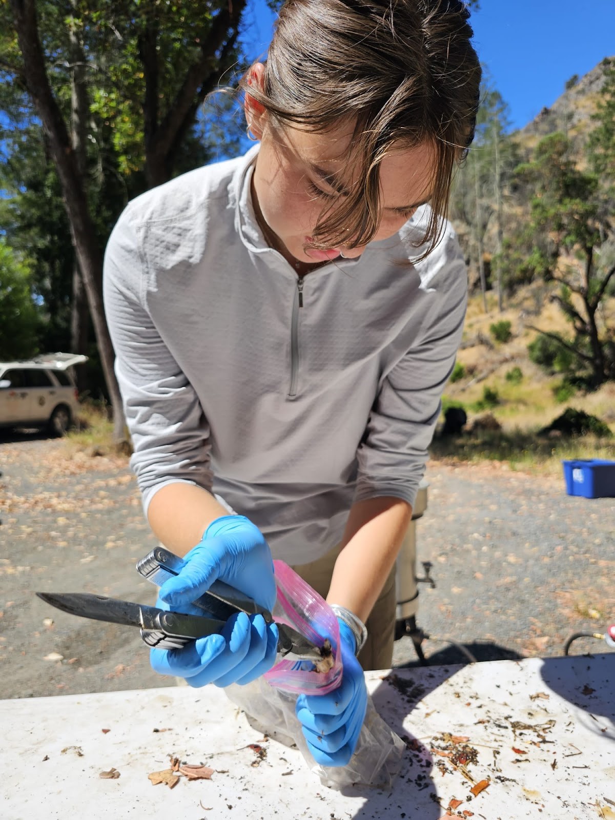 Lily Davenport uses pliers to extract a tooth from a skull inside a ziploc bag.