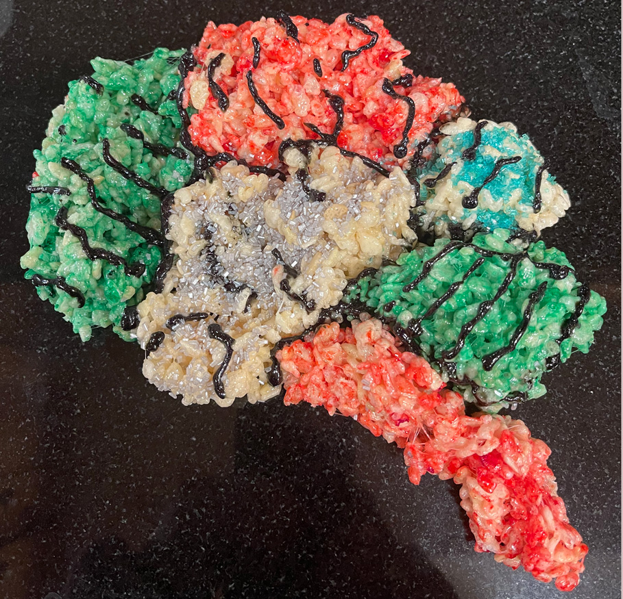 Brain-of-rice-crispie-treats