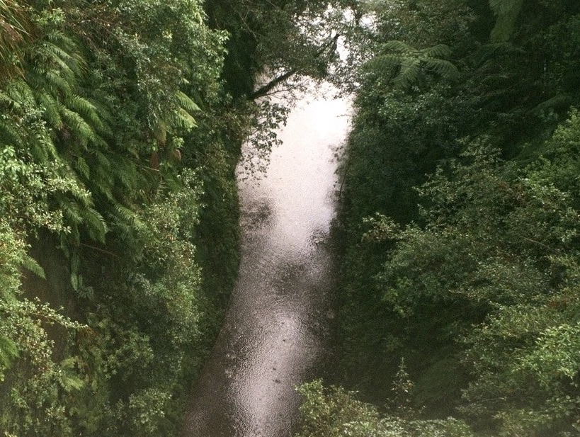 Whanganui River-3