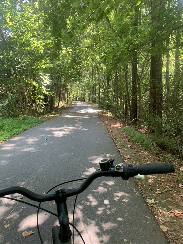 Bike handles with tree-lined bike path in background