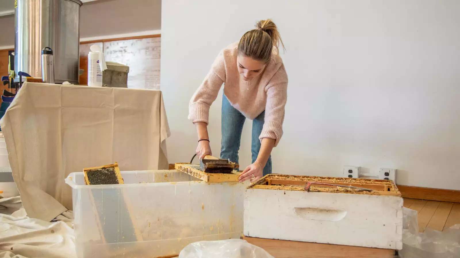 Student removing wax with a hot knife during the 2023 Honey Extraction Day