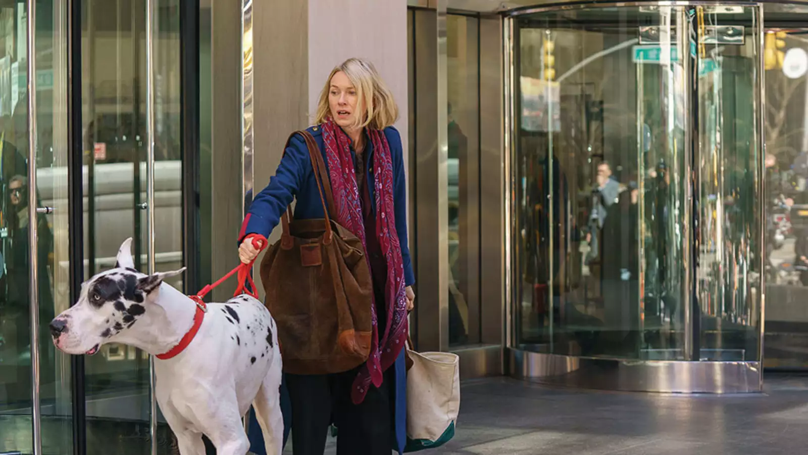 Still from movie "The Friend" features image of Naomi Watts walking a great dane