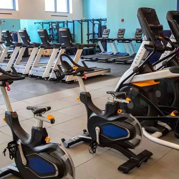 Cardio equipment in the gym including elliptical machines, bikes, and treadmills