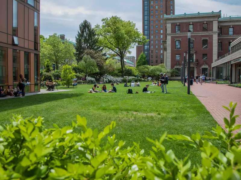 Students-on-Green-Lawn