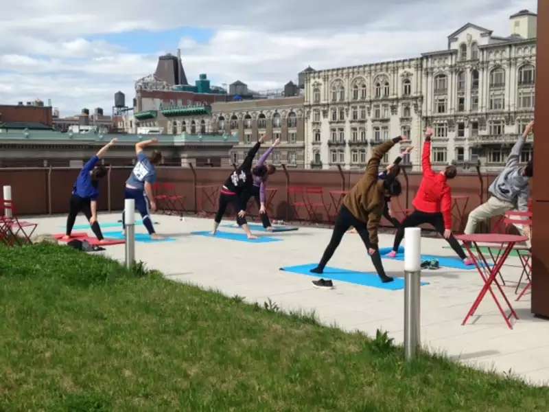 Several students doing yoga on a green roof